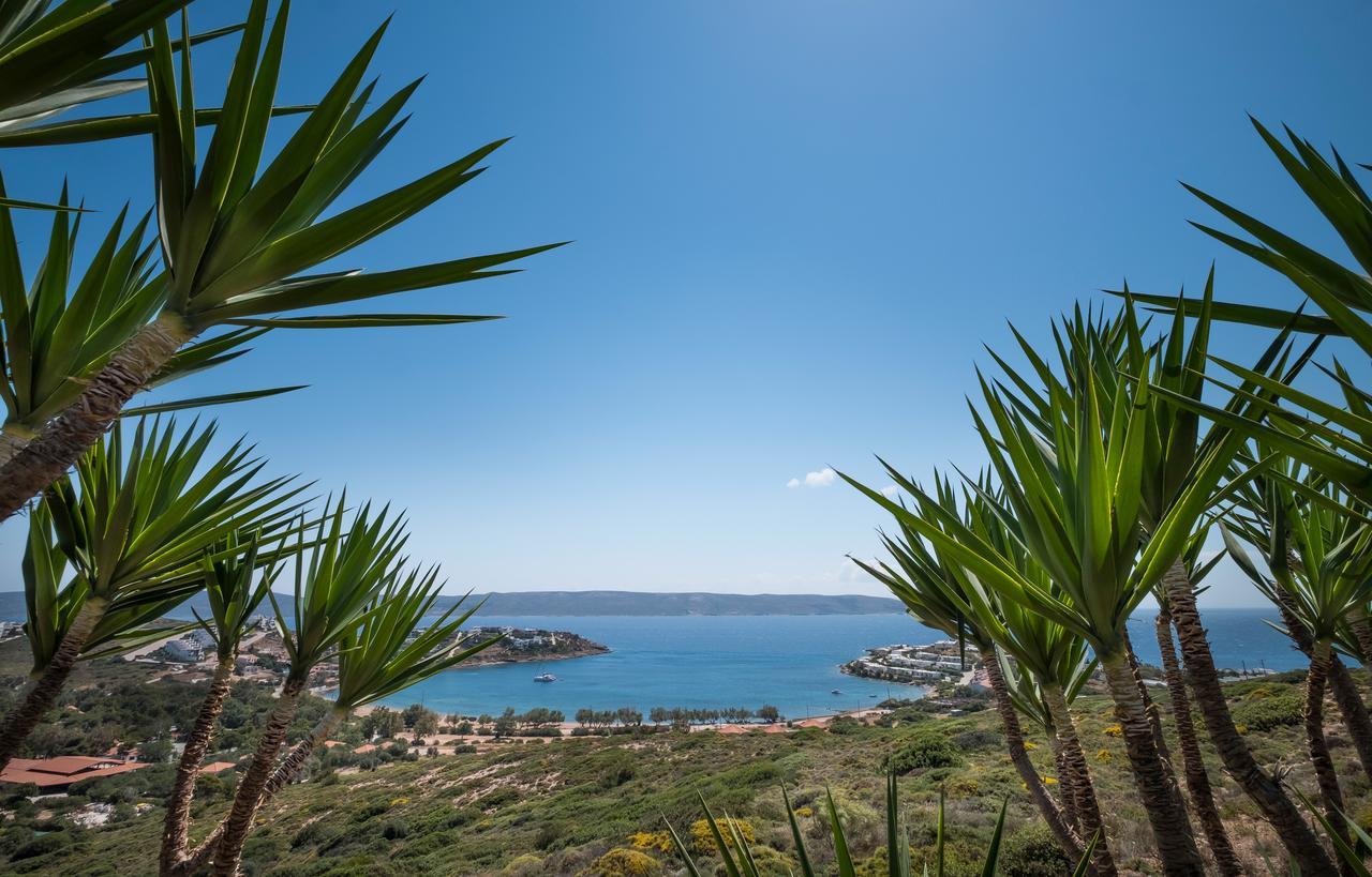 Sounio Villa Суніон Екстер'єр фото